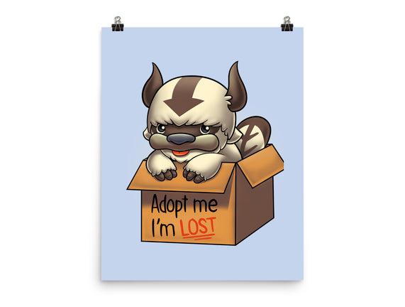 Adopt Appa
