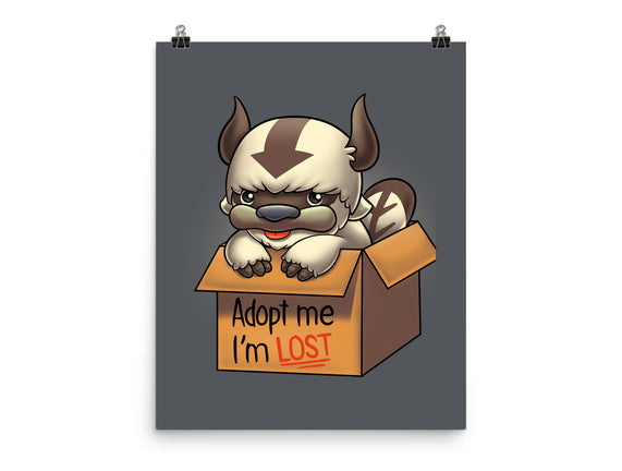 Adopt Appa