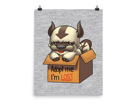 Adopt Appa