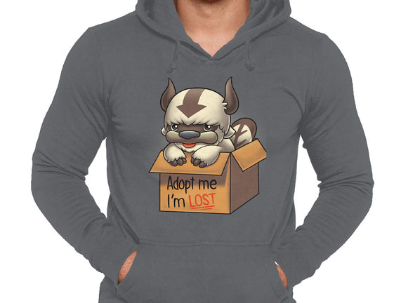 Adopt Appa