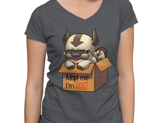 Adopt Appa