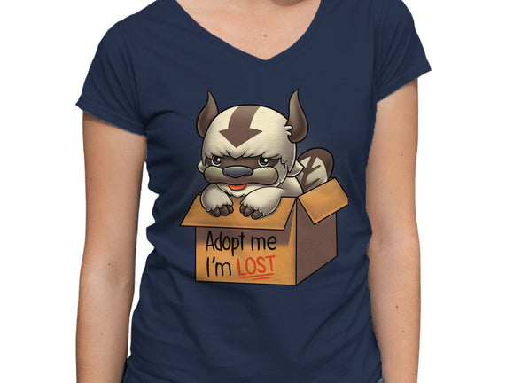 Adopt Appa