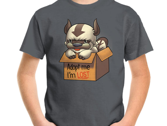 Adopt Appa
