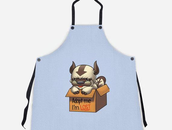 Adopt Appa