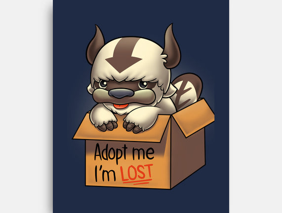 Adopt Appa