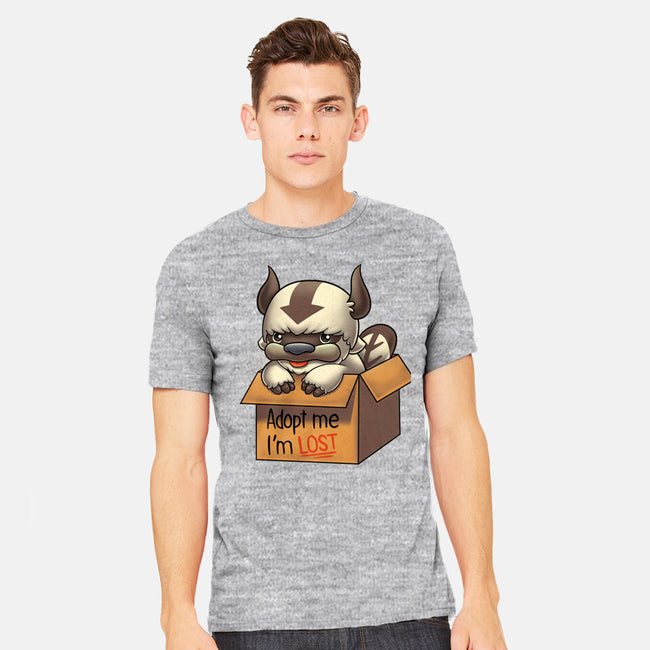 Adopt Appa-mens heavyweight tee-Typhoonic