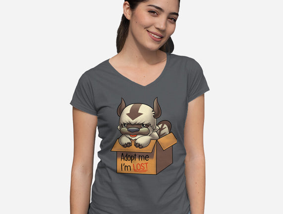 Adopt Appa