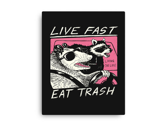 Fast Trash Life