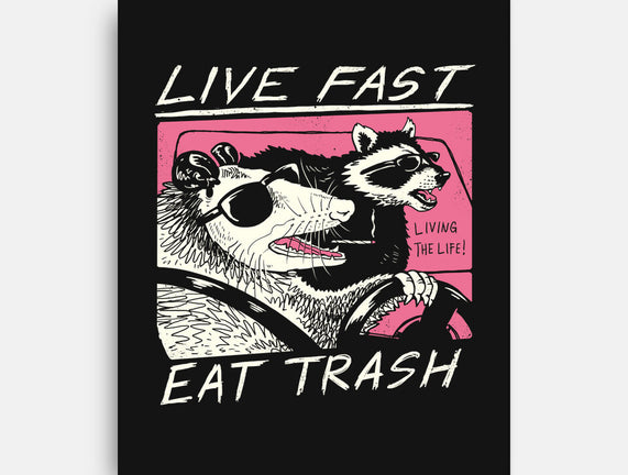 Fast Trash Life