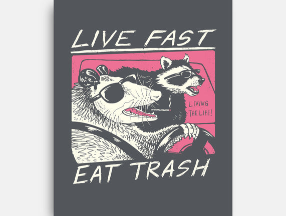 Fast Trash Life