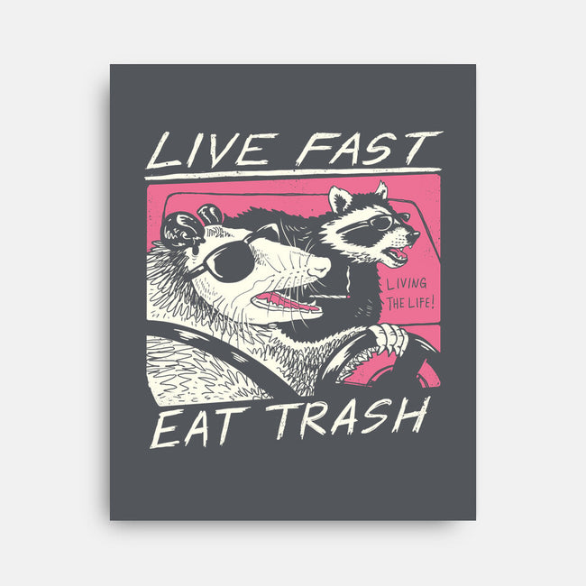 Fast Trash Life-none stretched canvas-vp021