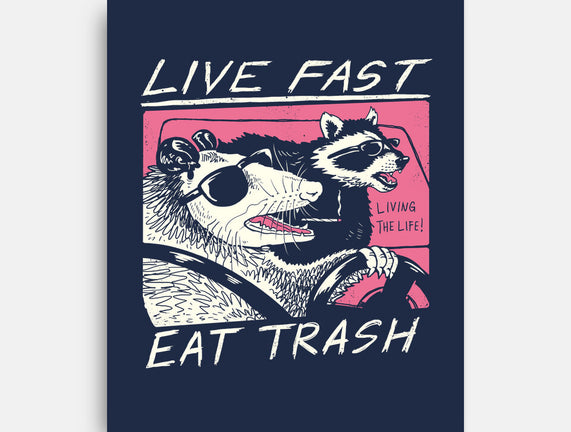 Fast Trash Life