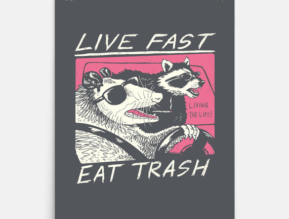 Fast Trash Life