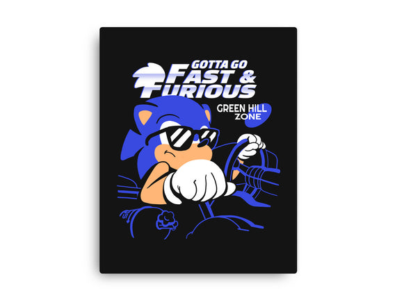 Gotta Go Fast & Furious