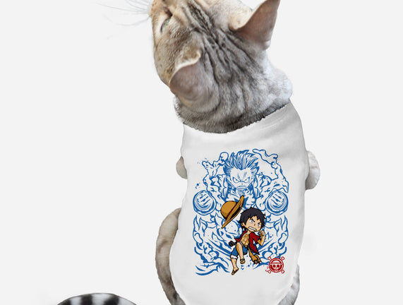 Be a Pirate King!