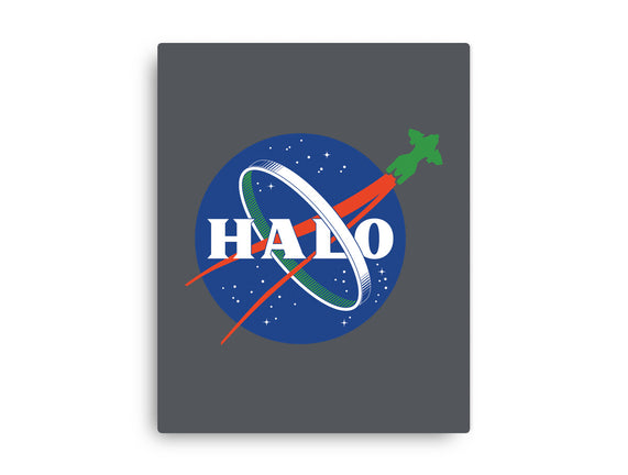 The Halo Space Agency