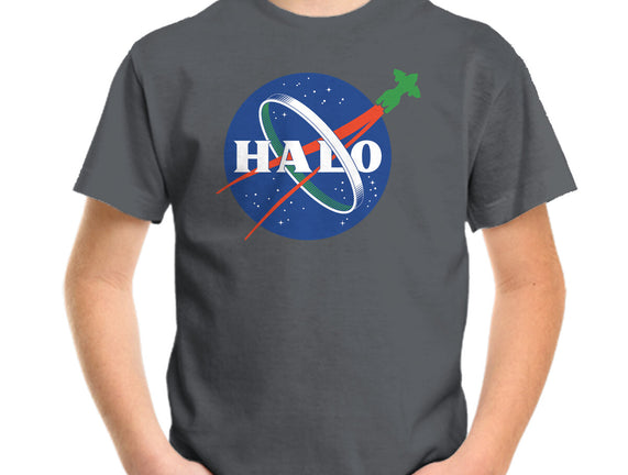 The Halo Space Agency