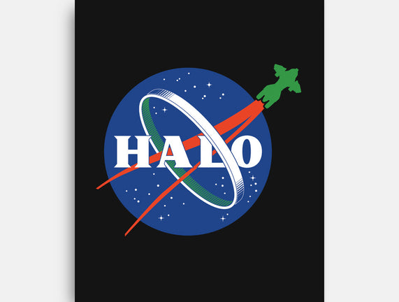 The Halo Space Agency