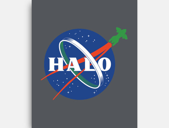 The Halo Space Agency