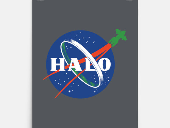 The Halo Space Agency