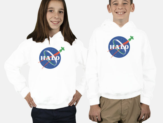 The Halo Space Agency