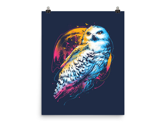 Colorful Owl