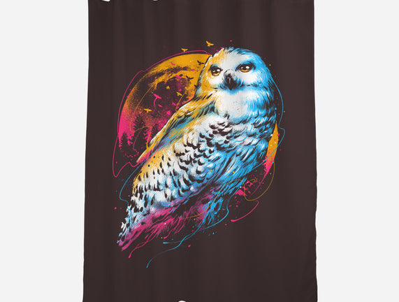 Colorful Owl