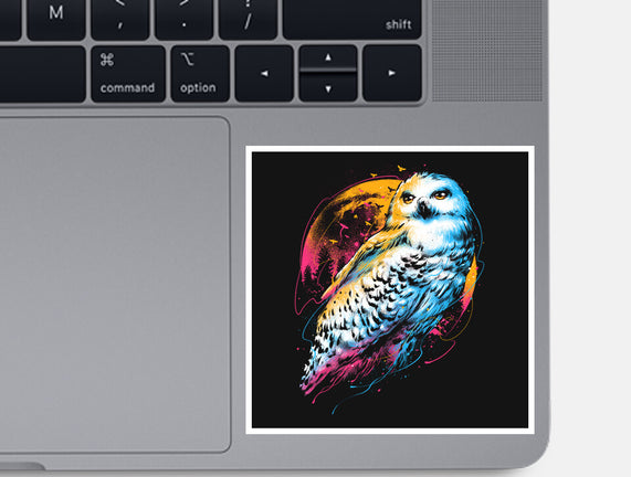 Colorful Owl