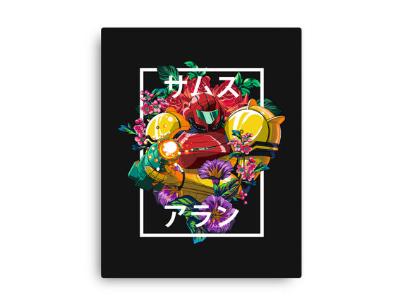 Intergalactic Bounty Hunter