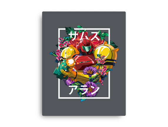 Intergalactic Bounty Hunter