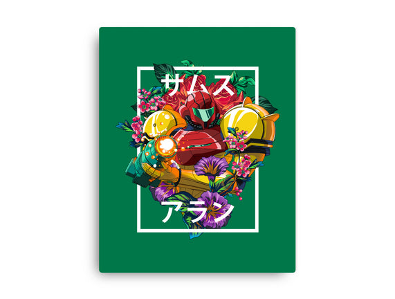 Intergalactic Bounty Hunter