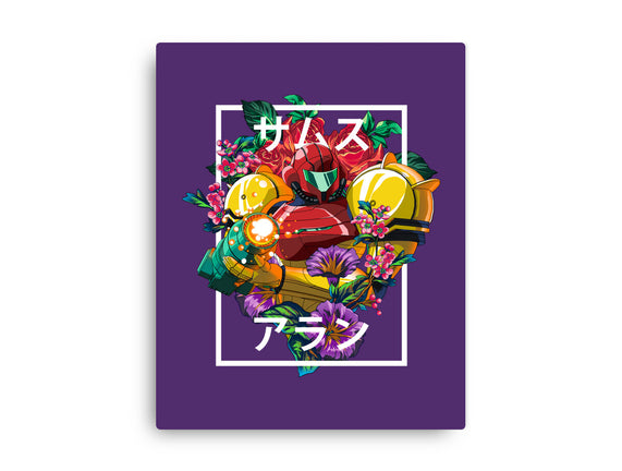 Intergalactic Bounty Hunter