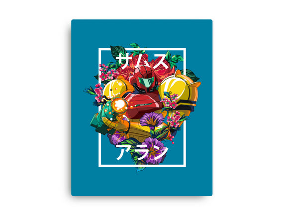 Intergalactic Bounty Hunter