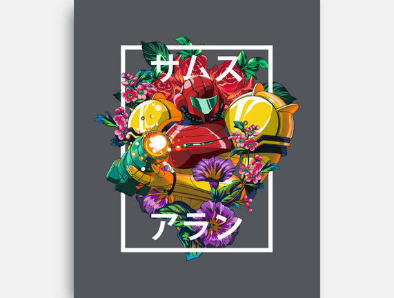 Intergalactic Bounty Hunter