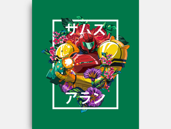 Intergalactic Bounty Hunter