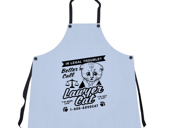 Better Call Lawyer Cat