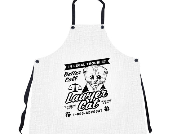 Better Call Lawyer Cat