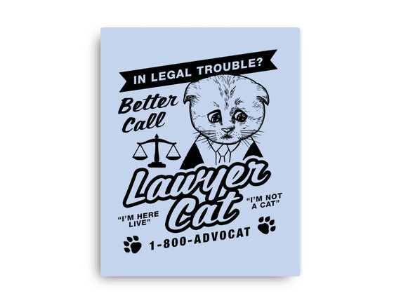 Better Call Lawyer Cat