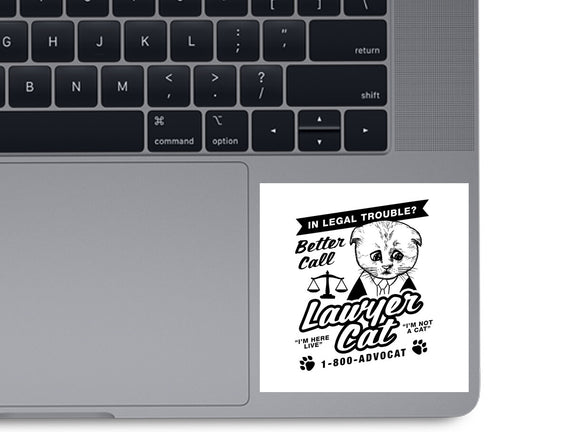 Better Call Lawyer Cat