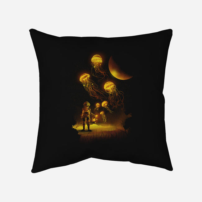 Close Encounters-none removable cover w insert throw pillow-dandingeroz
