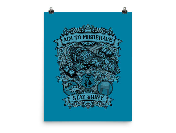 Aim to Misbehave