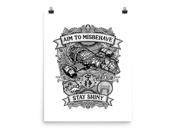 Aim to Misbehave
