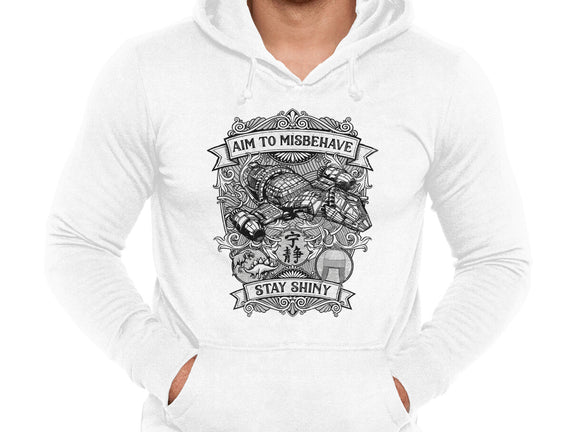Aim to Misbehave