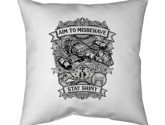 Aim to Misbehave