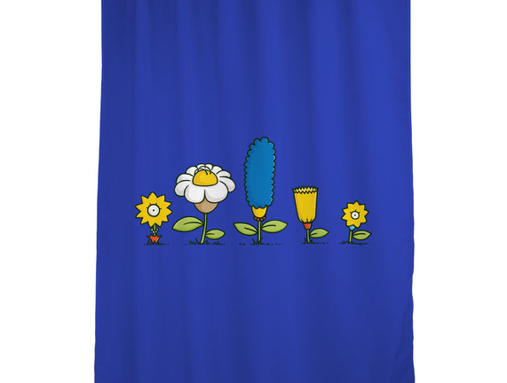 Spring Field