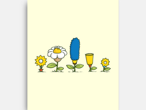 Spring Field