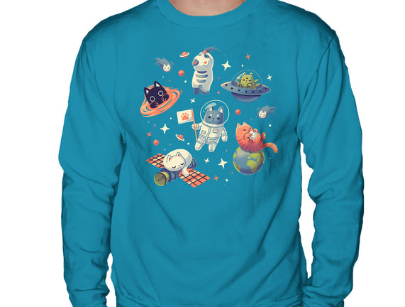 Cats in Space