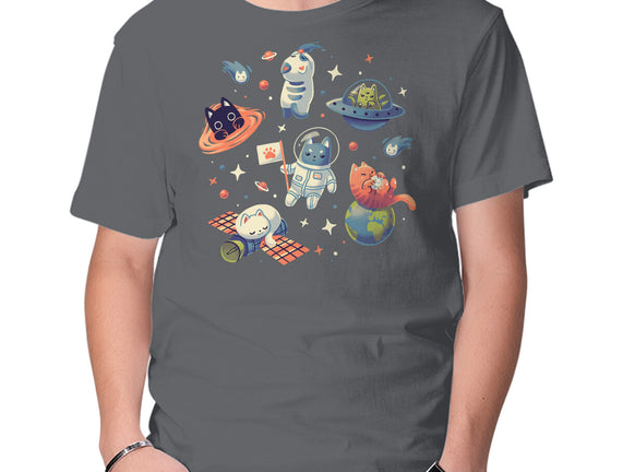 Cats in Space