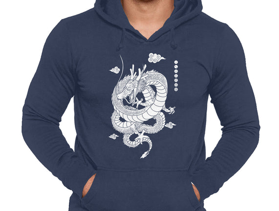 Shenlong