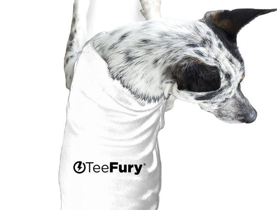 Fury Classic